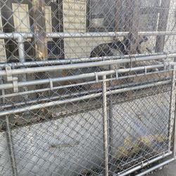 4x6x10 Galvanized Pet Pen