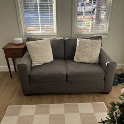 Loveseat Washable Cushions 