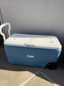 Cooler