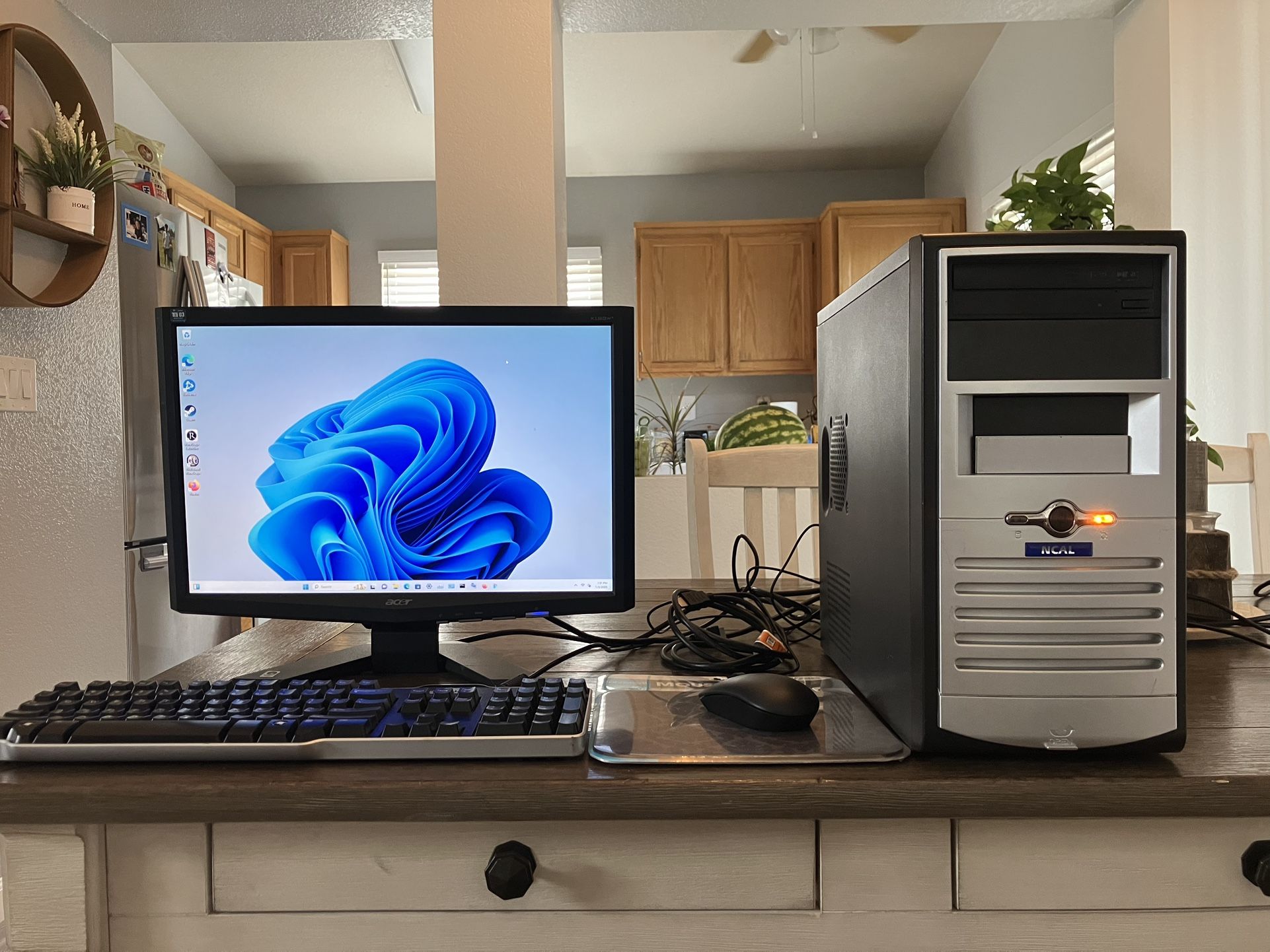 Custom Intel Desktop Computer Windows 11
