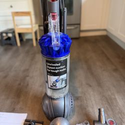 Dyson Ball Vacuum 