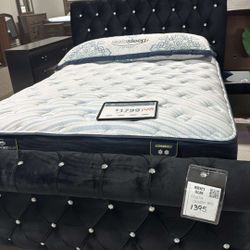 OM• $38 Initial • Brand New Noella Black Queen Size Bed Frame 