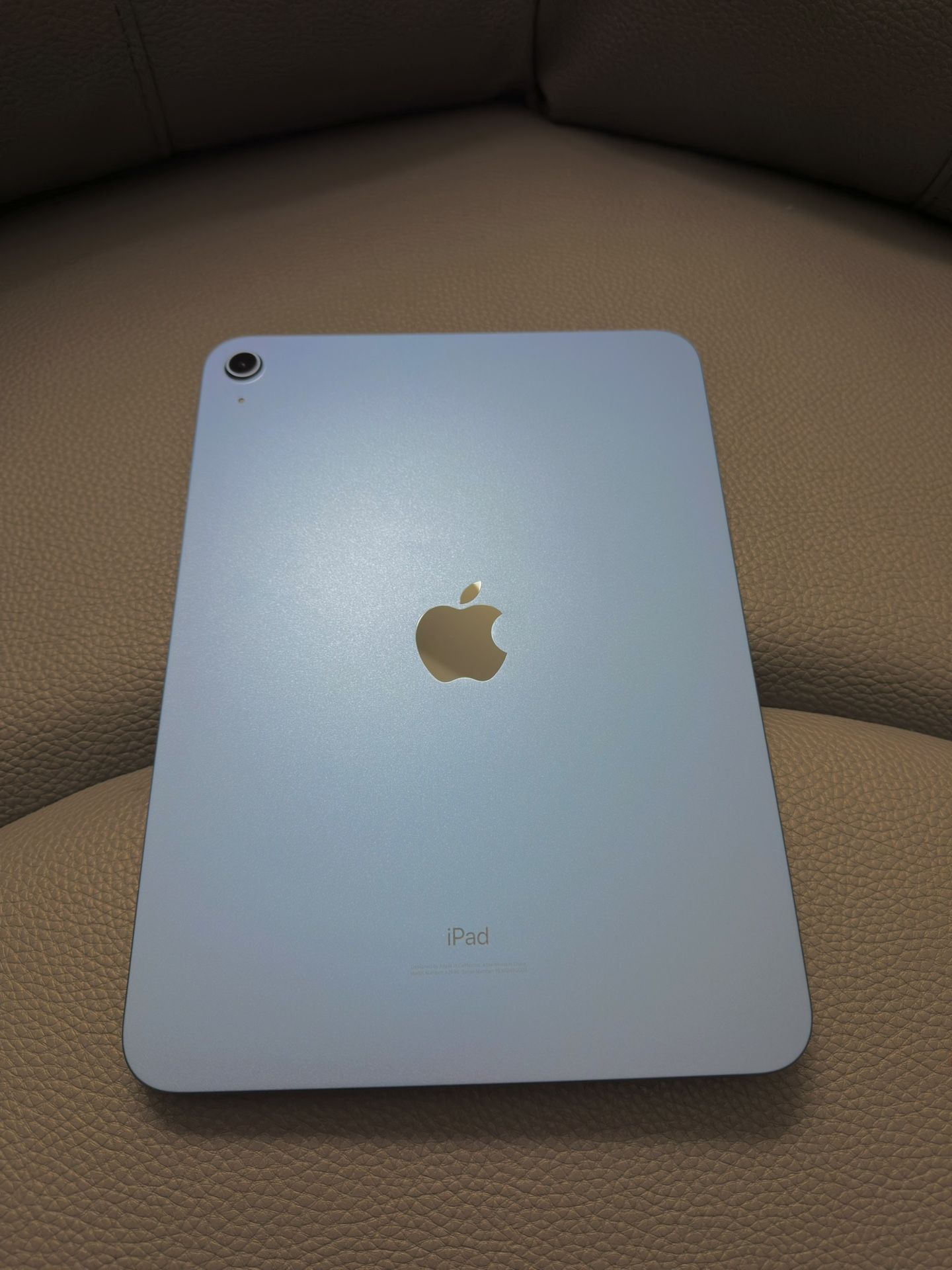 10th Gen IPad 