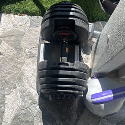 Adjustable Weights-only One 