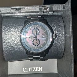 Citizen Nighthawk Watch