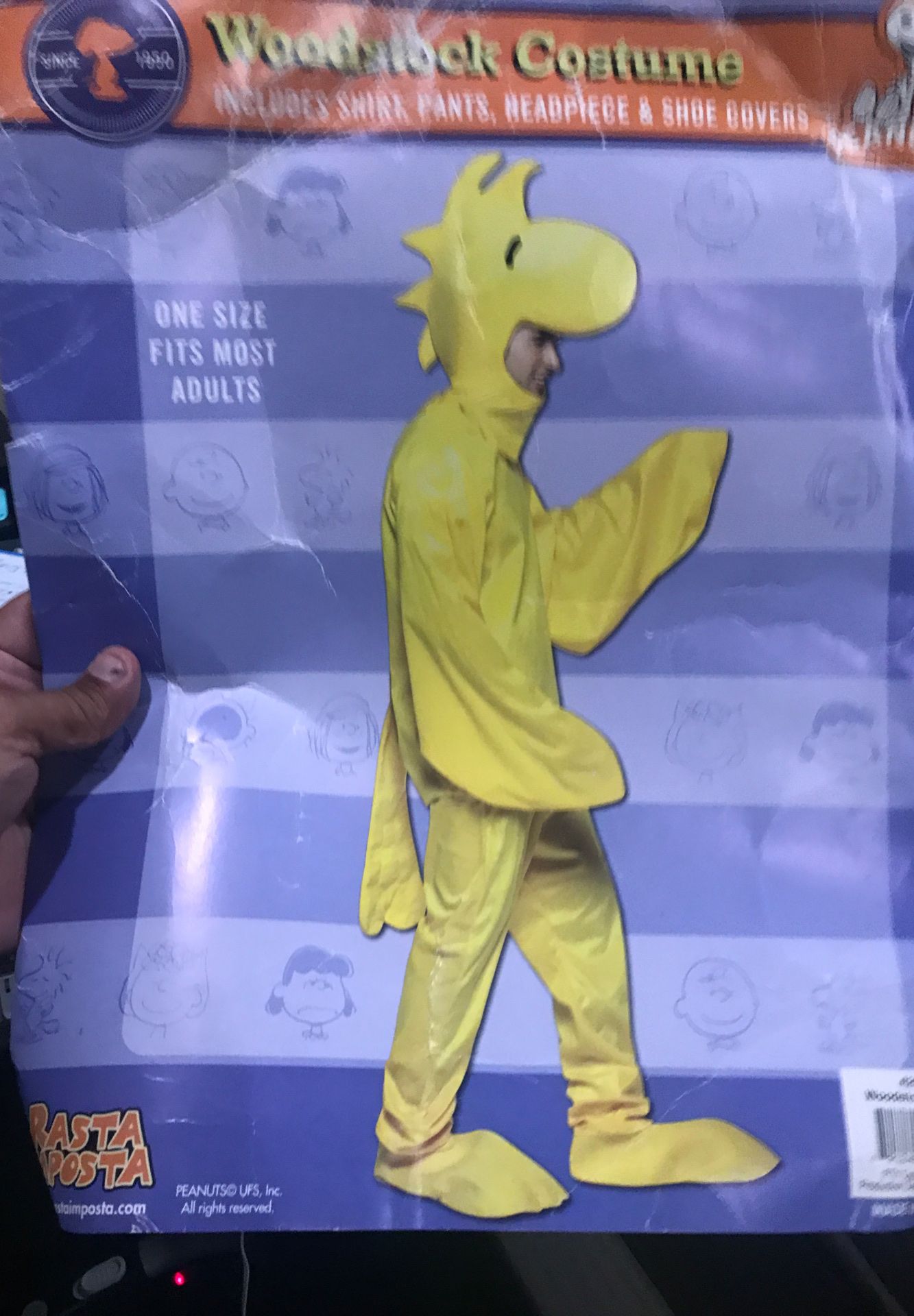 Woodstock Costume Adult Size