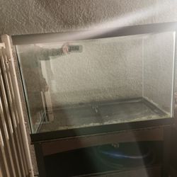 Fish Tank Comes With Everything 