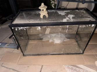 30 Gallon Fish tank
