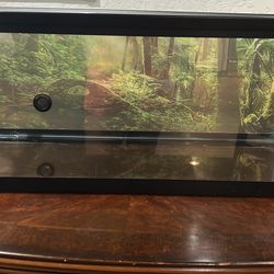 20 gallon reptile tank