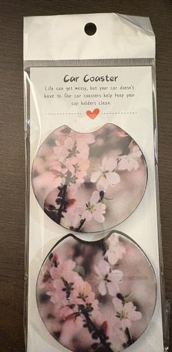 Pair of car coasters