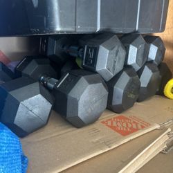 20 Pounds Dumbbells 