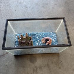 Fish Tank 