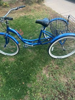 Adult tricycle