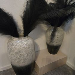 2 Vases And Feathers