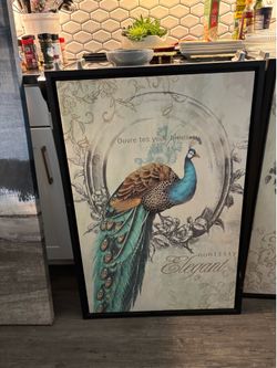 Two Peacock paintings