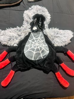 Spider Costume