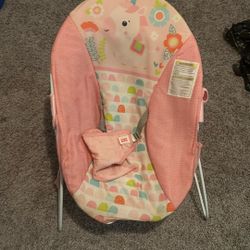 Baby Bouncer 