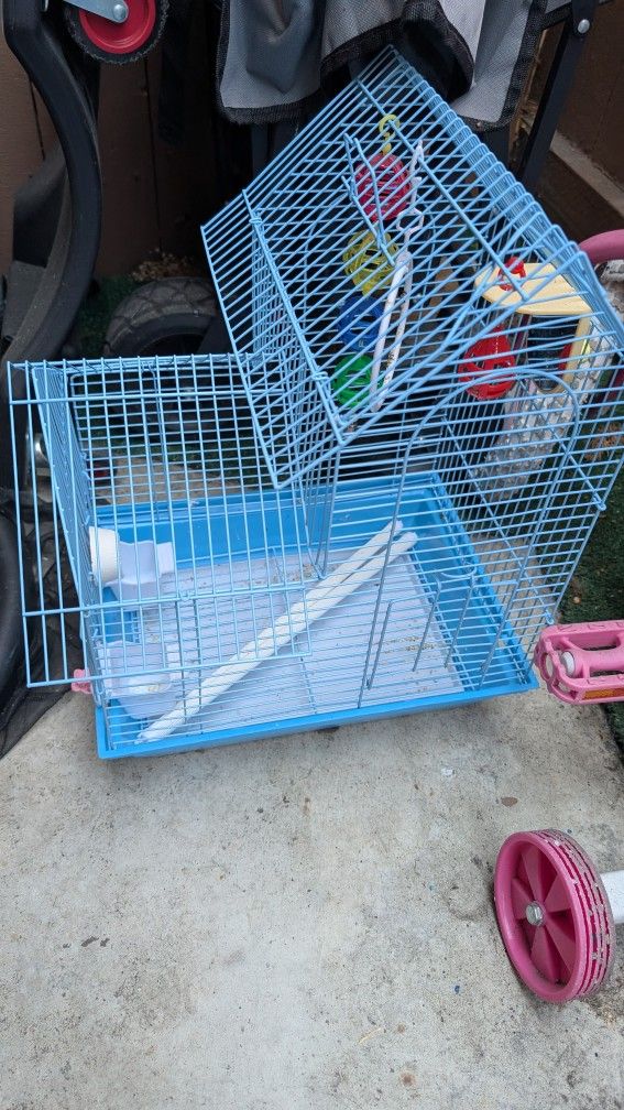 Blue bird cage, Small Birds