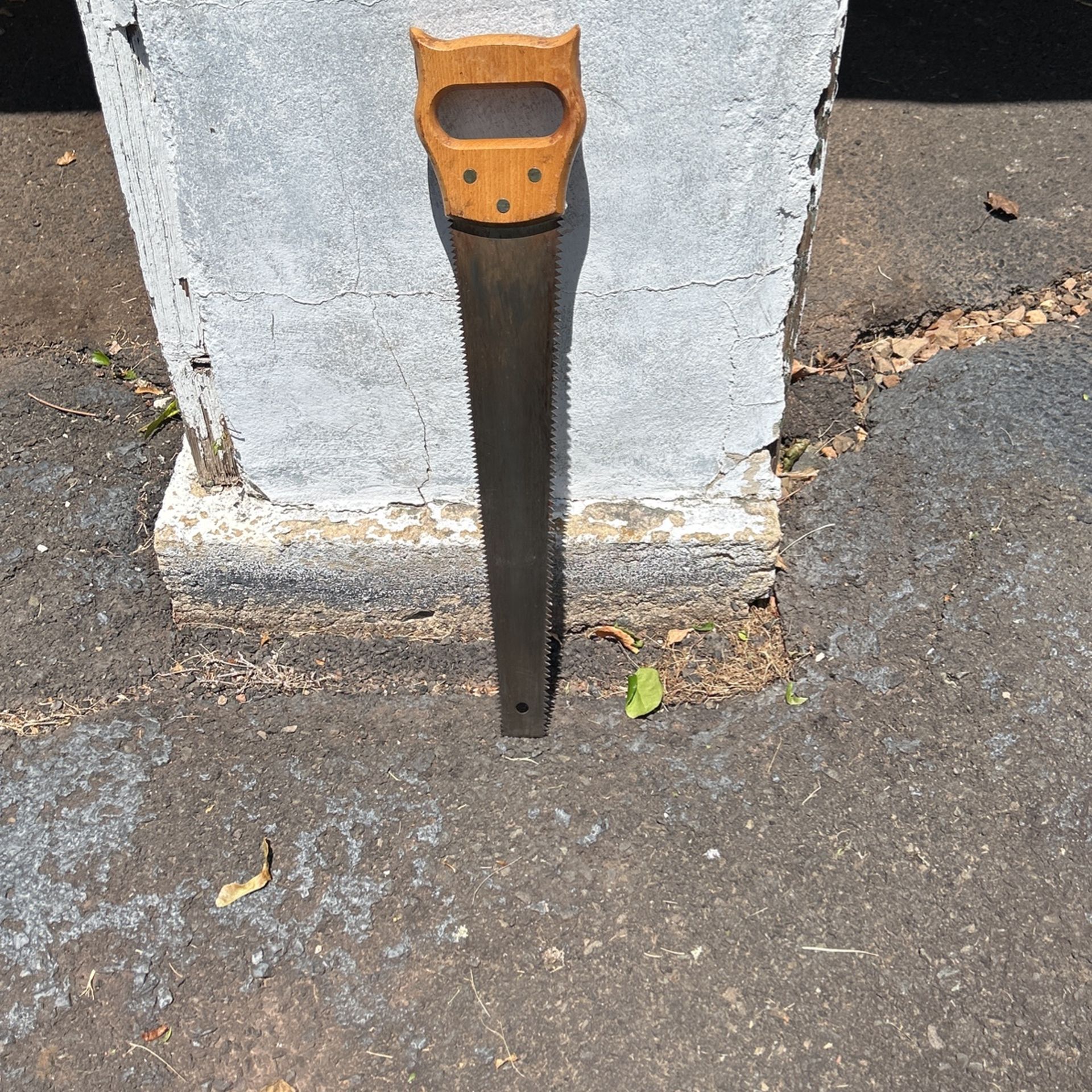 Double Sided Pruning Saw
