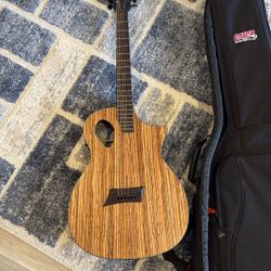 Almost New Michael Kelly Guitar And Case