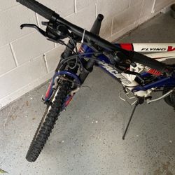Pacific flying v mountain bike hotsell