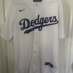 Shohei Ohtani Los Angeles Dodgers Nike 2025 World Series Champions Home Jersey