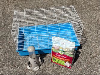 Guinea Pig Lot
