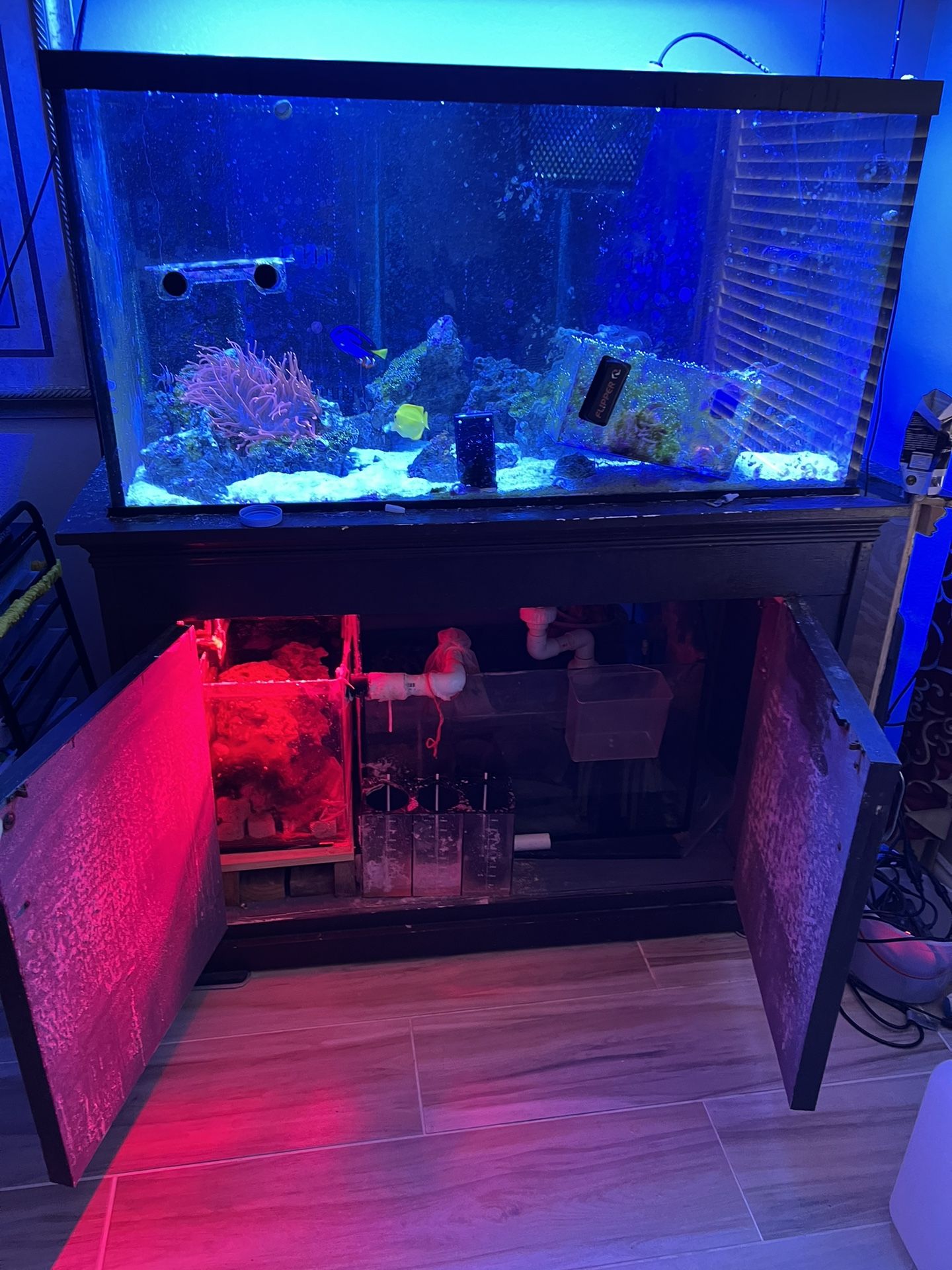 150 Gallon Salt Water Fish Tank With sump Filtration Plumbing for Sale