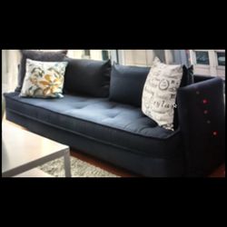 Linge Roset sofa 