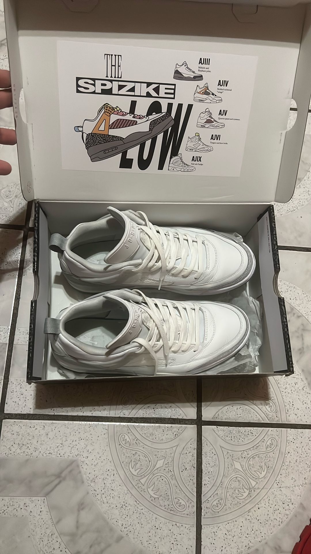 Jordan Spizike Low Size 12