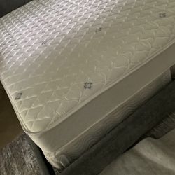 Free King mattress and Box Spring FREE!!