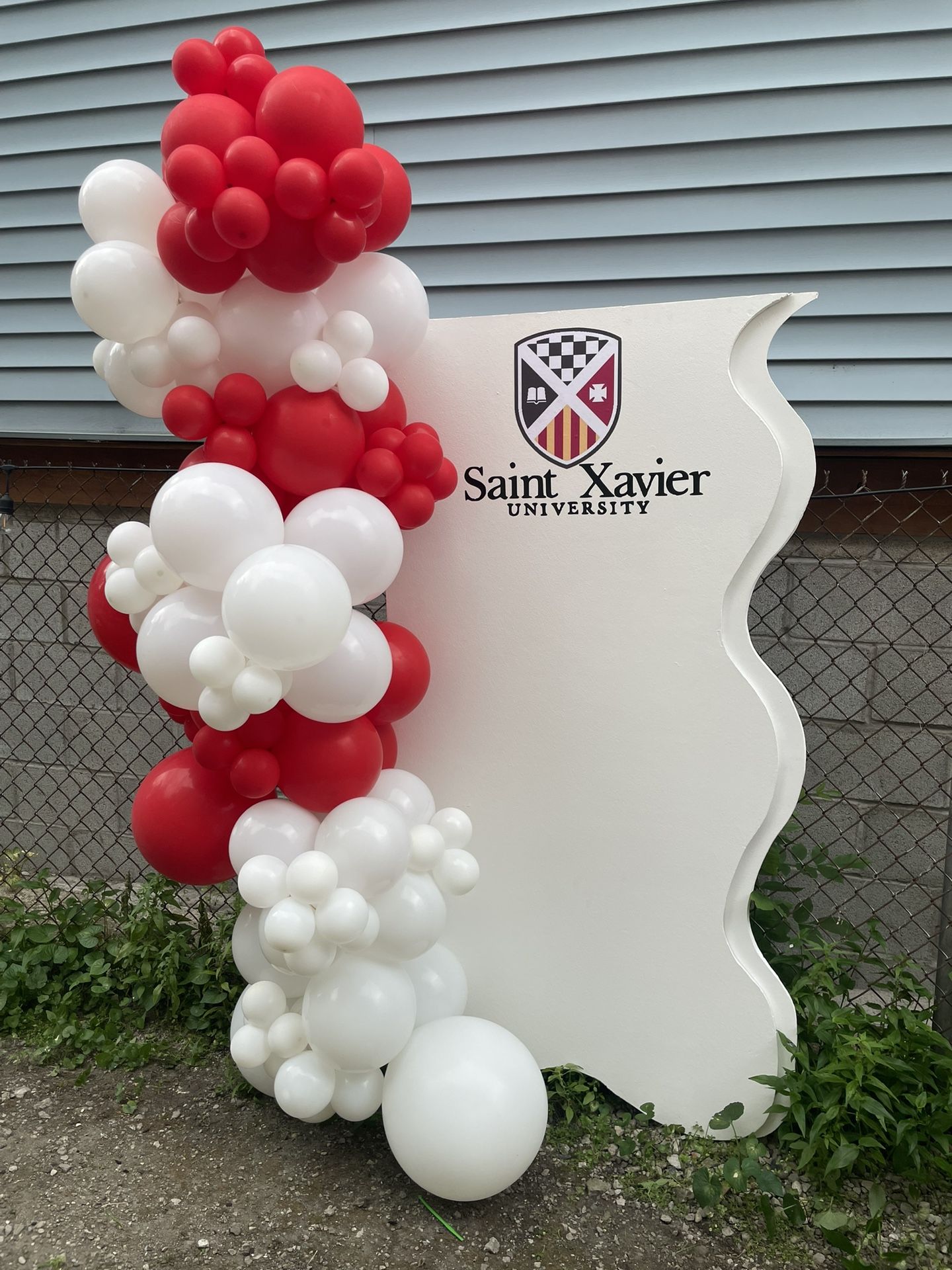 Backdrop And Balloons 