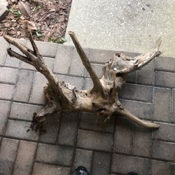 Large Drift Wood 