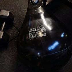 Aqua Punching Bag 