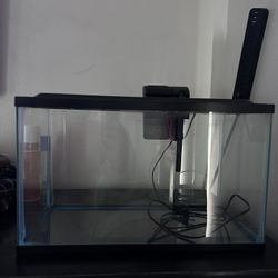10 Gallon Aquarium 