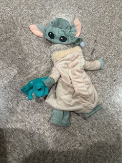 Costume dog