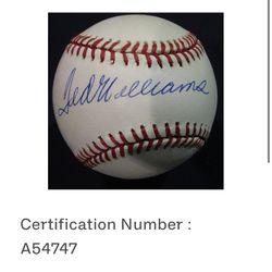 Ted Williams 9.0 Autographed Baseball   