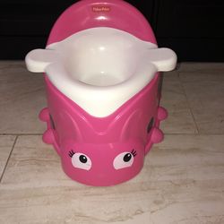 Lady bug potty seat