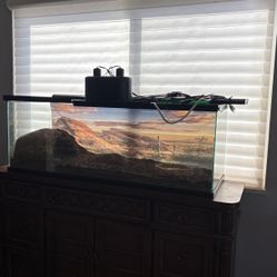 Reptile Tank 55 Gallon And Lights 