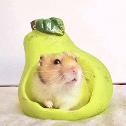 Fruity Pear Hamster Hideout/Toys/Hide ~~ Hamsters
