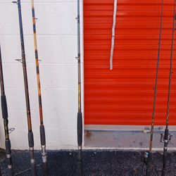 Berkley Big Game Rod 7ft