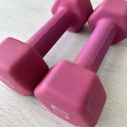 Pair of 5 Lbs Free Weights In Pink