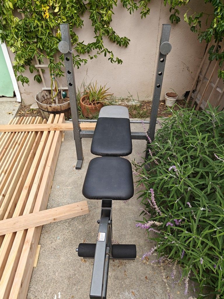 Workout Bench