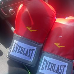 Everlast 16oz