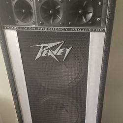 Peavy T-300 Amp/PA System (x2)