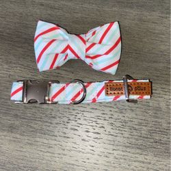 new small dog collar & bowl