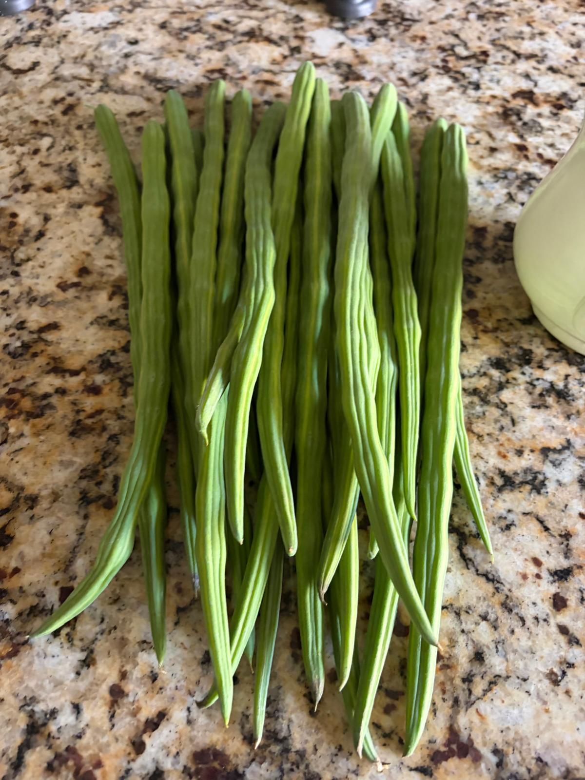 Fresh moringa pods