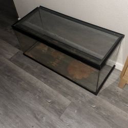Terrarium 