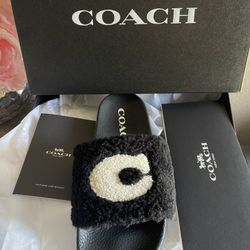 Coach Slides