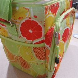 Insulated Cooler Bag Like New 